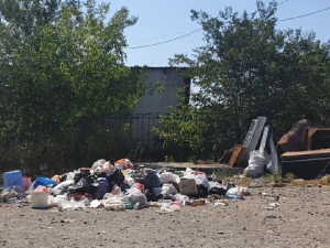 Мусор уже разлагается. В одном из дворов Челябинска уже месяц как пропали мусорные баки, власти бездействуют