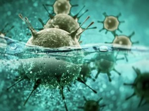 Ускорить гибель коронавируса в воде поможет кипячение