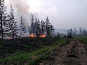 Пожары в Якутии: уничтожено 300 тысяч гектар леса