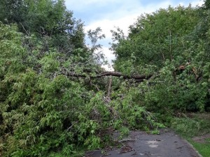 Повреждения крыш, газопровода, социальных объектов и машин - в Челябинске подсчитали ущерб от урагана