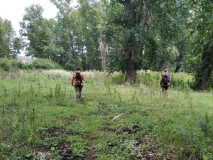 Двух пропавших пенсионерок ищут в лесах Челябинской области