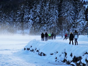 Зимние каникулы в Челябинской области начнут досрочно и могут продлить
