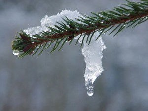 Оттепель? До +1 поднимутся температуры в Челябинске 25 января