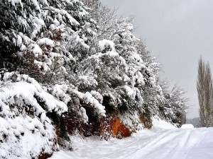30 градусов мороза снова будет в Челябинской области