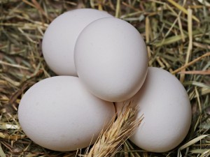 Власти проверяют цены на куриное мясо и яйца. Ждем, когда эти товары исчезнут из продажи?