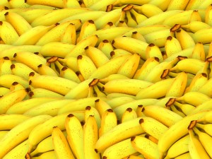 Гриб-инфекция грозит полностью уничтожить бананы